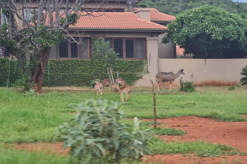 66 Sharalumbi Wildlife Estate Lydenburg Exterior foto