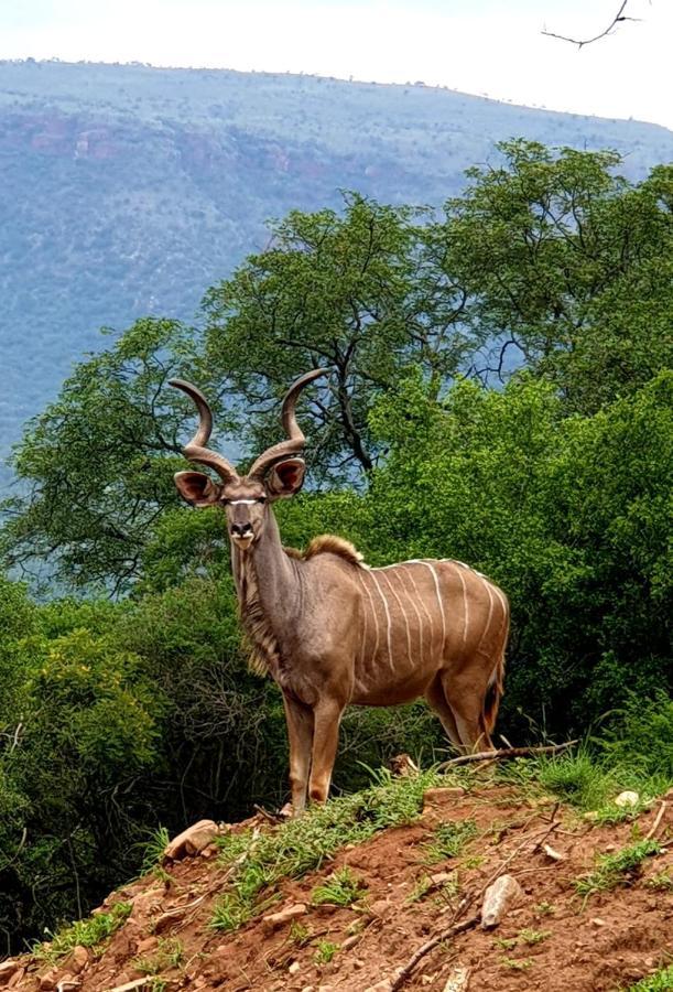 66 Sharalumbi Wildlife Estate Lydenburg Exterior foto