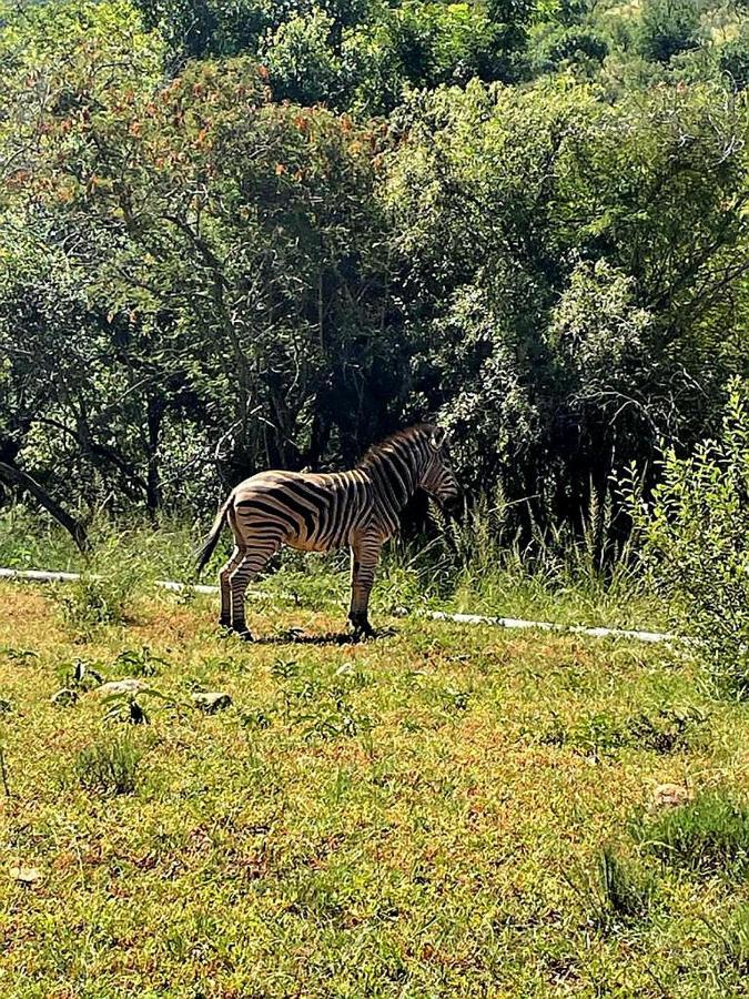 66 Sharalumbi Wildlife Estate Lydenburg Exterior foto