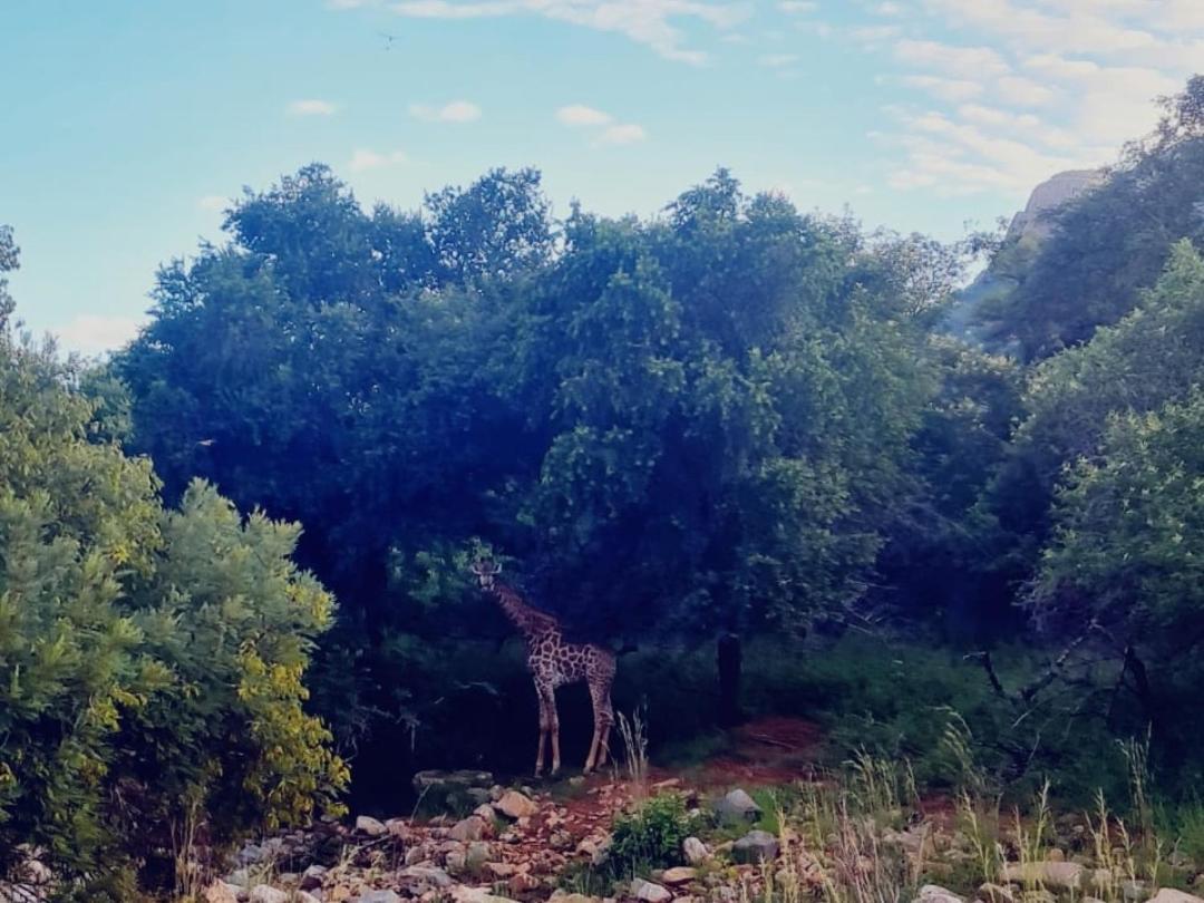 66 Sharalumbi Wildlife Estate Lydenburg Exterior foto