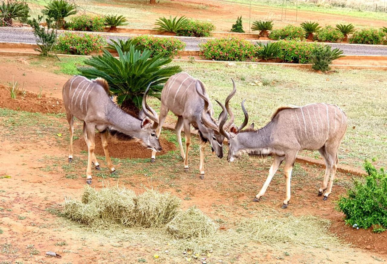 66 Sharalumbi Wildlife Estate Lydenburg Exterior foto