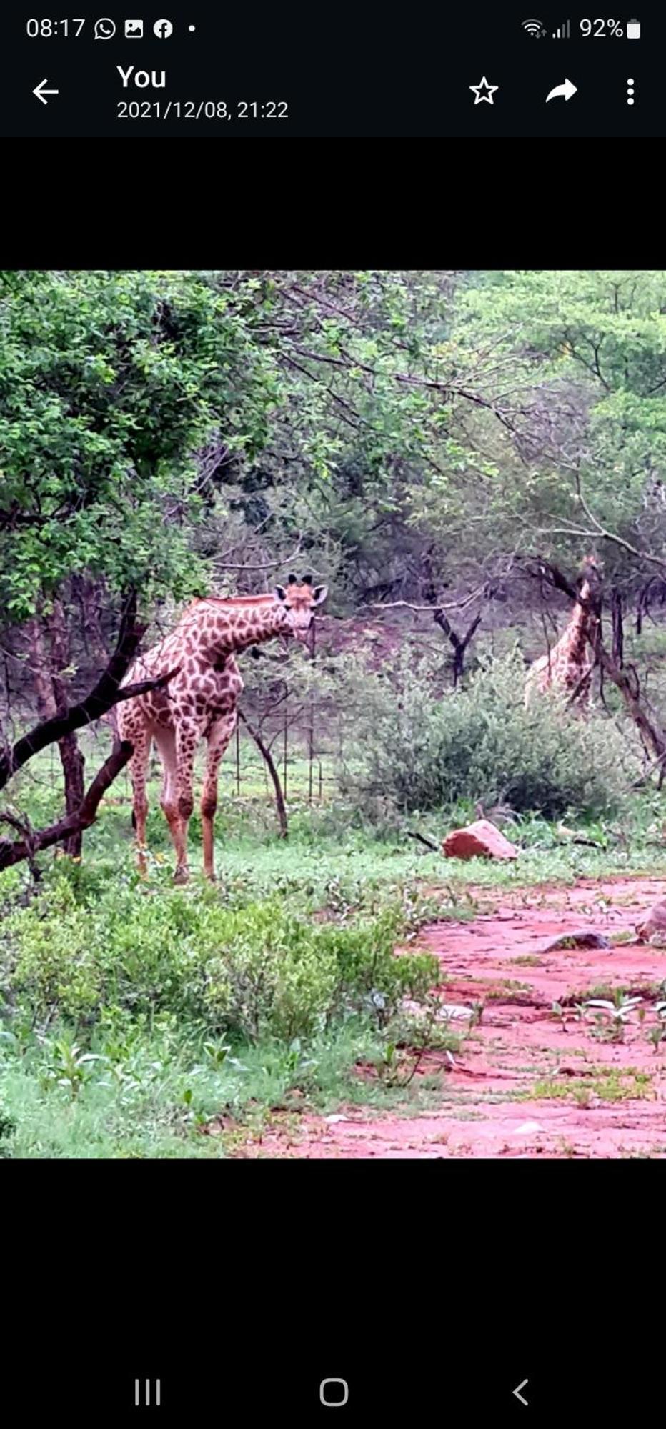 66 Sharalumbi Wildlife Estate Lydenburg Quarto foto