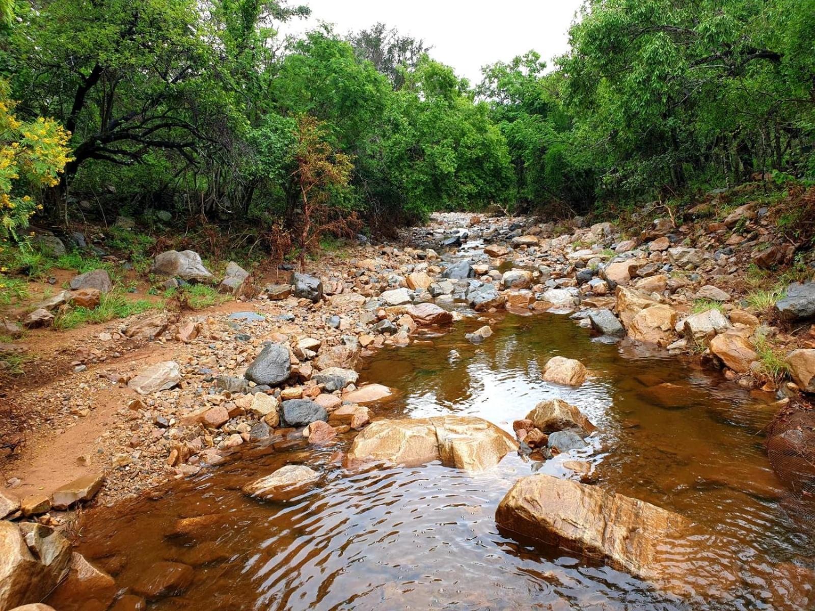 66 Sharalumbi Wildlife Estate Lydenburg Quarto foto